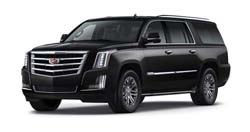 Executive Suburban SUV's